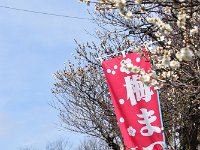 又々、お買い物！