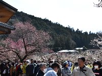 良い子には、甘酒しんじょ。
