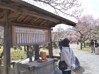 私も作ろうかな？