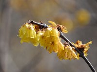 DSC 0549