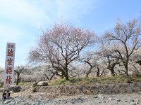 夢中で小石を集める