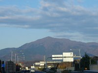 大山もスッカリ春模様？
