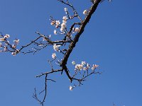 IMG 8189