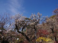 IMG 8216