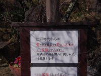 風情ですね