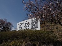 IMG 8234