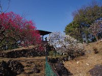 展望台