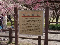 頑張れ！学生達