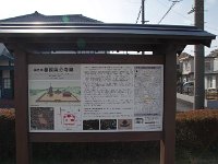 IMG 8408