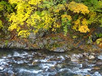川辺の紅葉が見事！