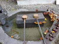 DSC05305
