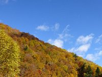 DSC05318