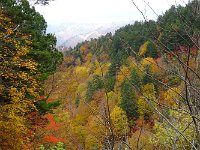 DSC05325