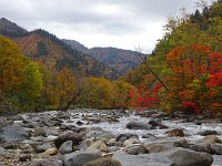 尾瀬沼を源流の只見川