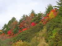 DSC05405