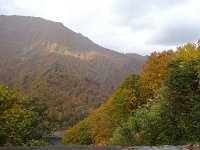 DSC05407