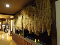 何故か・・・稲穂