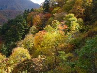 DSC05516