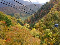 DSC05519