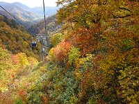 DSC05525