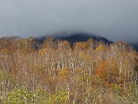 DSC05528