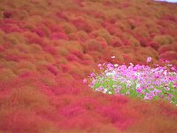 印象的なショット