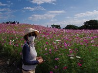 どこの奥様。お嬢様？