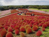 丘の中腹から