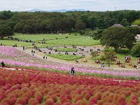 IMG 0455