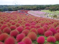 次の時間の入場者が続々と