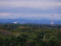 彼方に丹沢連峰と富士山