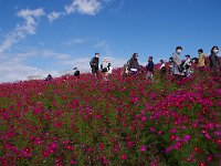 IMG 0517