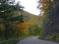 IMG 0584