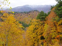 IMG 0711
