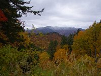 IMG 0720