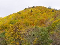 IMG 0756