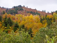 IMG 0772