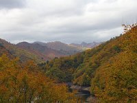 所々に薄日が