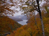 IMG 0822