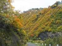 IMG 0855