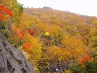 IMG 0890
