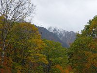 IMG 0898