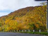 IMG 0909