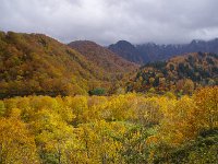 IMG 0923