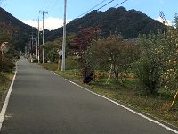 IMG 09360