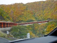 IMG 0961