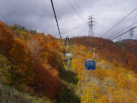 IMG 1179