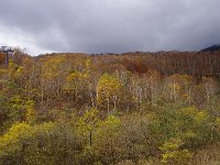 IMG 1194