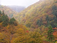 これも一景・・・素晴らしい！