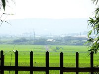 横は広い田圃
